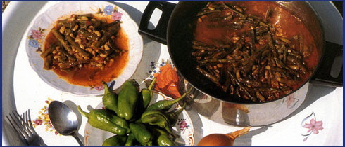 Taze �l�b� (B�r�lce)